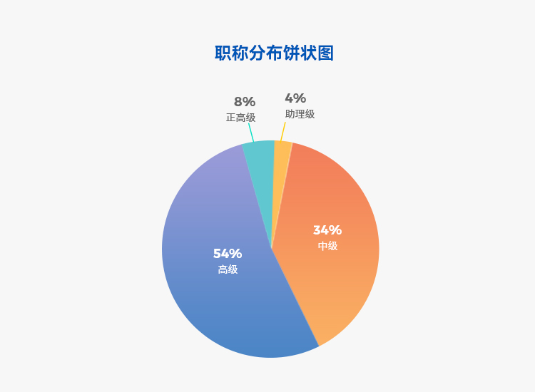 团队职称分布